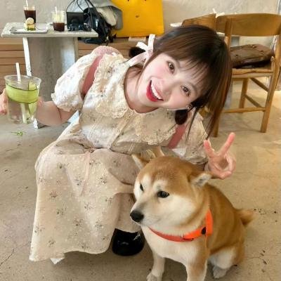 狂花梦路